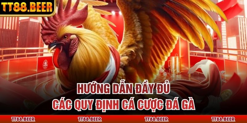 Hướng dẫn đầy đủ các quy định cá cược đá gà